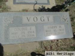 Harry Vogt