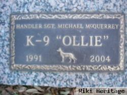 Ollie K-9 Police Dog