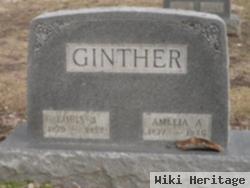 Amelia A. Ginther