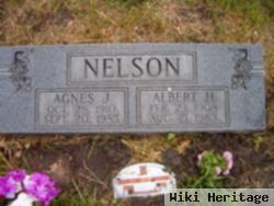 Agnes J Reandeau Nelson