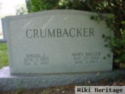 David J. Crumbacker