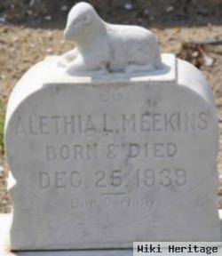 Alethia L Meekins