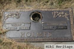 Harry J Holmes