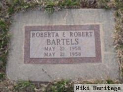 Robert Bartels