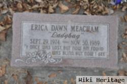 Erica Dawn Hancey Meacham