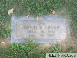 David R. Grosh