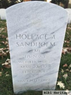 Hollace Alden Sandholm