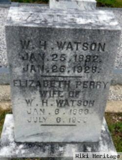 Elizabeth Perry Watson