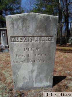 Alexis Adams