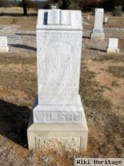 William J Wilson