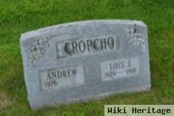 Lois J Cropcho