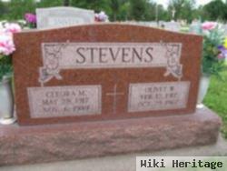 Cleora M Steber Stevens