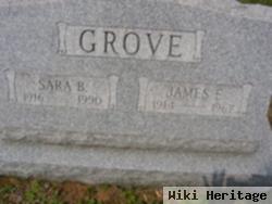 James E Grove