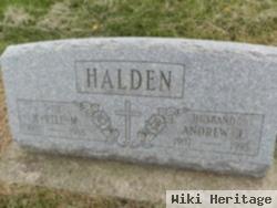 Andrew J Halden