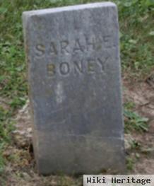 Sarah E Boney