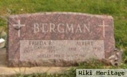 Albert Bergman