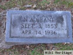 Nancy Ann "nannie" Cash Grant