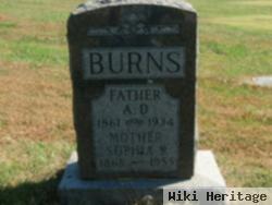 A. D. Burns