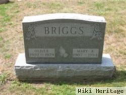 Mary A Briggs