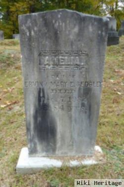 Amelia Sedgley