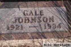 Gale Johnson