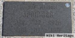 Lloyd Junior Springer