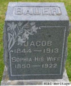 Sophia Harman Bauer