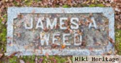 James A. Weed