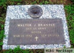 Walter J Brantle