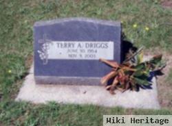 Terry Ann Driggs