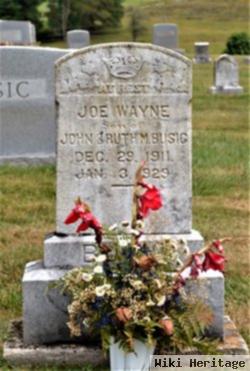 Joe Wayne Busic