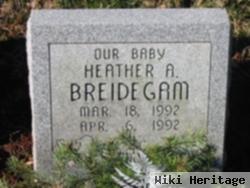 Heather A. Breidegam