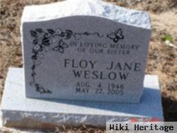 Floy Jane Fitzgerald Weslow