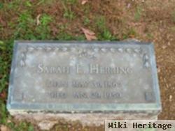 Sarah E Herring