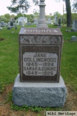 Sarah Ann Collingwood Conine