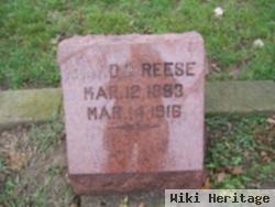 David E. Reese