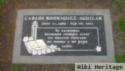 Carlos Rodriguez-Aguilar