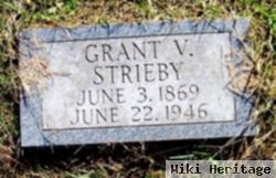 Grant V. Strieby