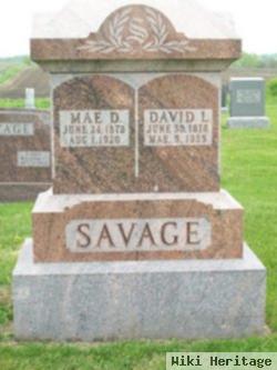 David L Savage