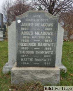 James Meadows