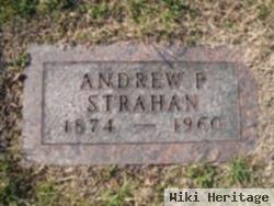 Andrew P Strahan