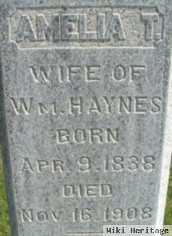 Amelia T. Haynes