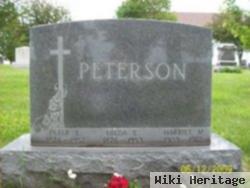 Peter E Peterson