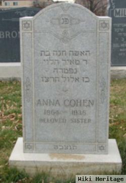 Anna Cohen