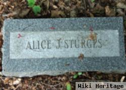 Alice J. Andrews Sturges