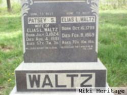 Elias L Waltz