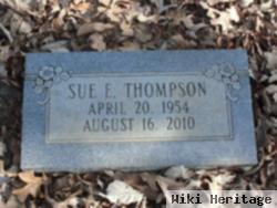 Sue E Thompson