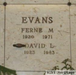 David L Evans