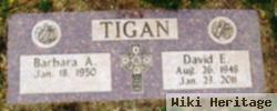 David E Tigan