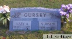 Mary Ann Gursky